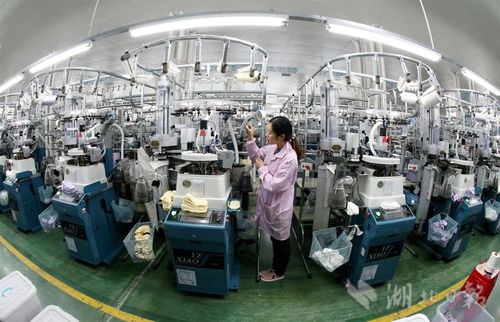 老區企業納米紡織品俏銷國內外，創新科技引領紡織新浪潮