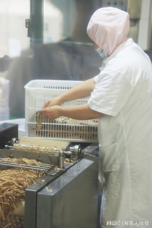 強(qiáng)品牌走C端 湖南省餐協(xié)赴世林食品開(kāi)展產(chǎn)品研發(fā)交流，解碼紡織產(chǎn)業(yè)創(chuàng)新路徑